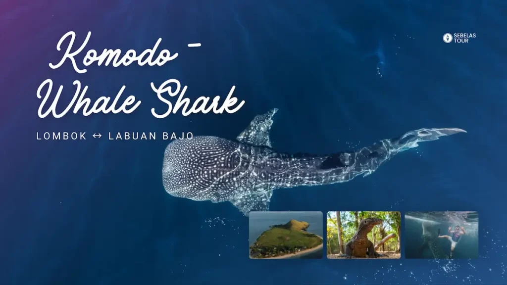 Sailing Labuan Bajo ke Lombok 4D4N