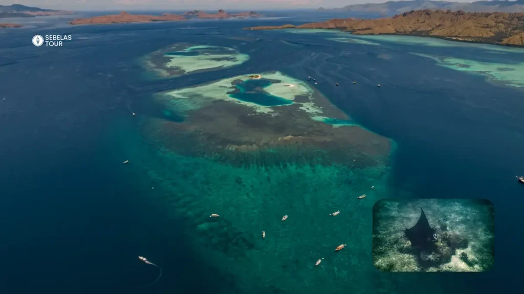 Snorkeling manta ray di Manta Point Labuan Bajo